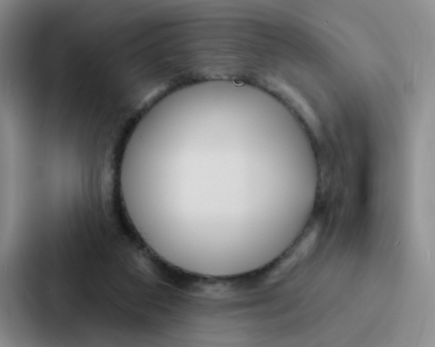 X0000086950113200705141830