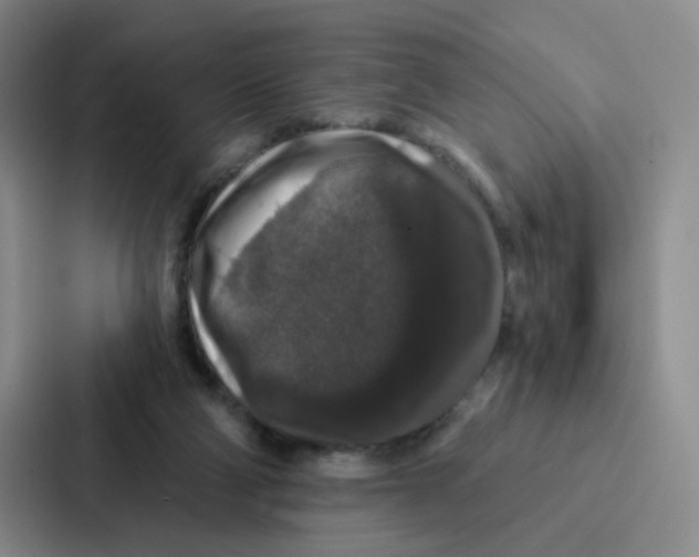 X0000086950114200705141830