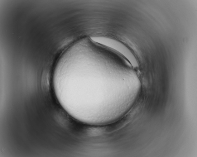 X0000086950115200705141830