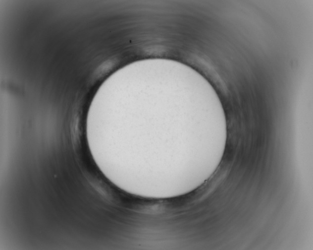 X0000086950116200705141830