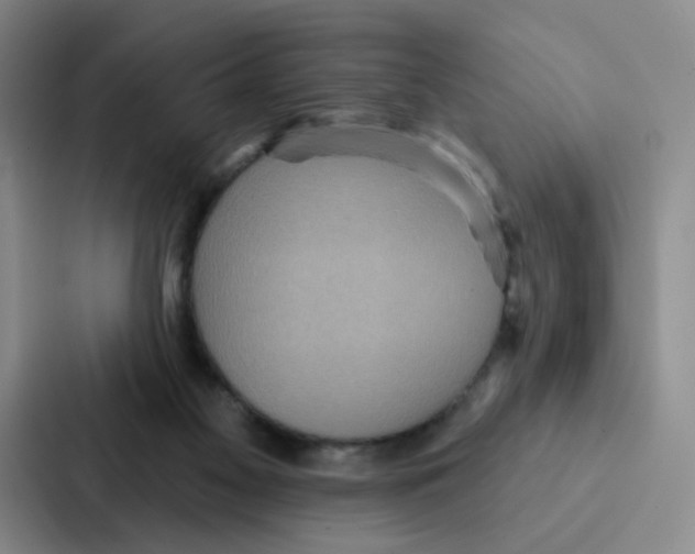 X0000086950117200705141830