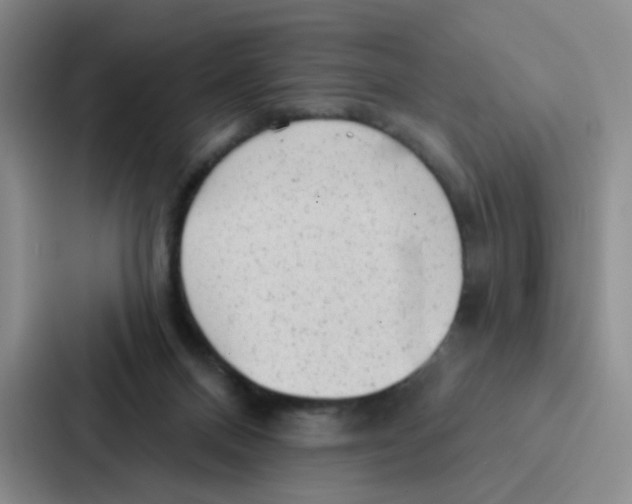 X0000086950120200705141830