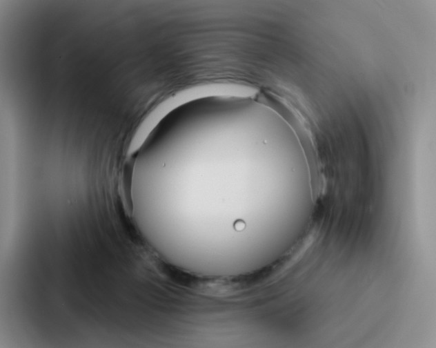 X0000086950121200705141830