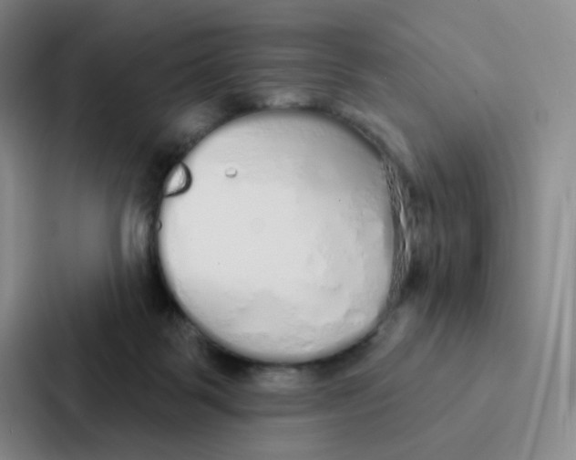 X0000086950123200705141830