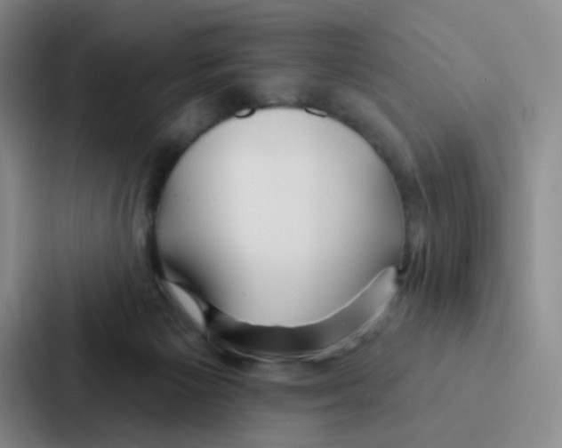 X0000086950125200705141830