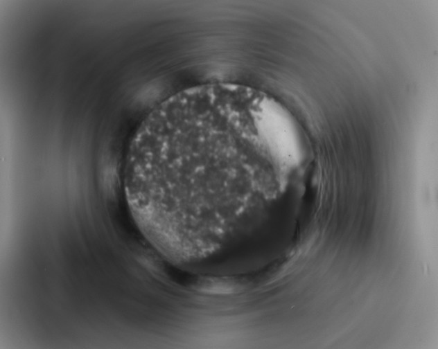 X0000086950127200705141830