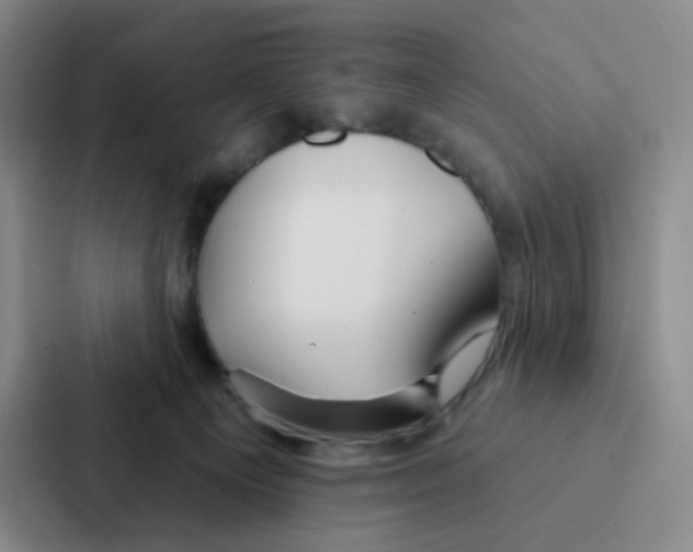 X0000086950129200705141830