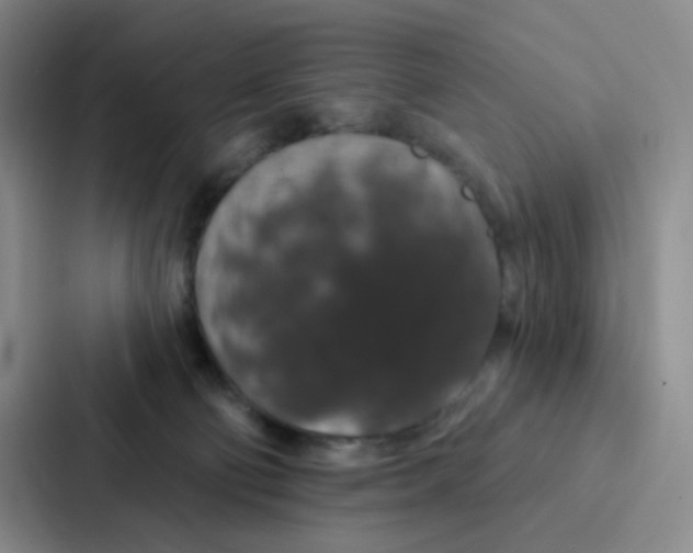 X0000086950130200705141830