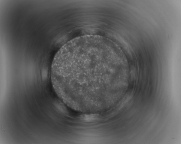 X0000086950134200705141830