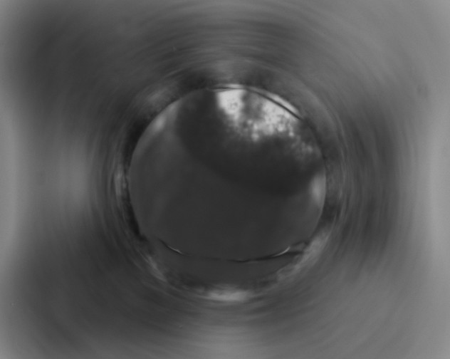 X0000086950137200705141829