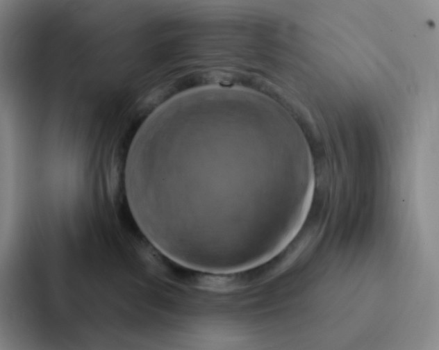 X0000086950139200705141829