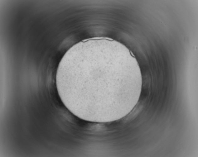 X0000086950140200705141829