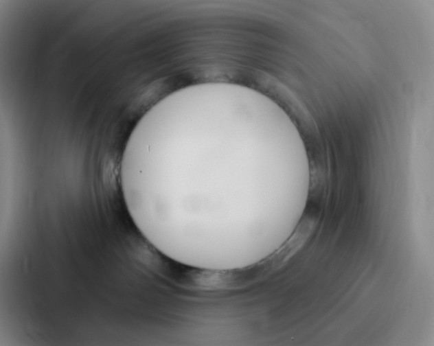 X0000086950142200705141829