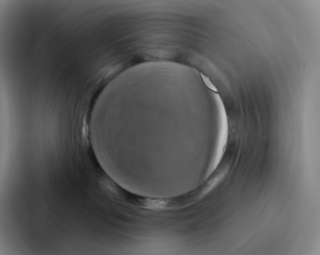 X0000086950143200705141829