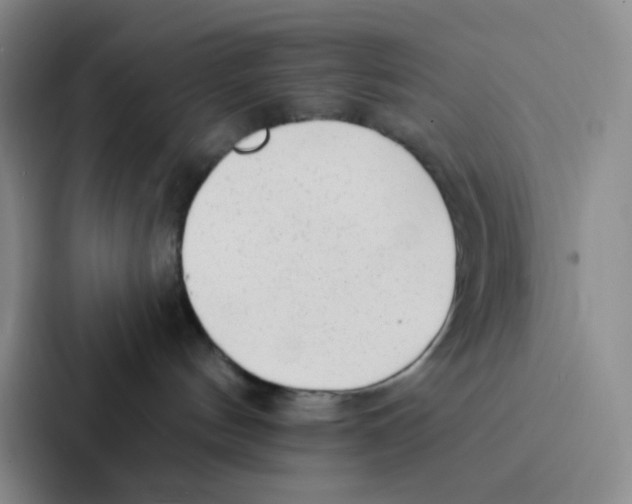 X0000086950144200705141829