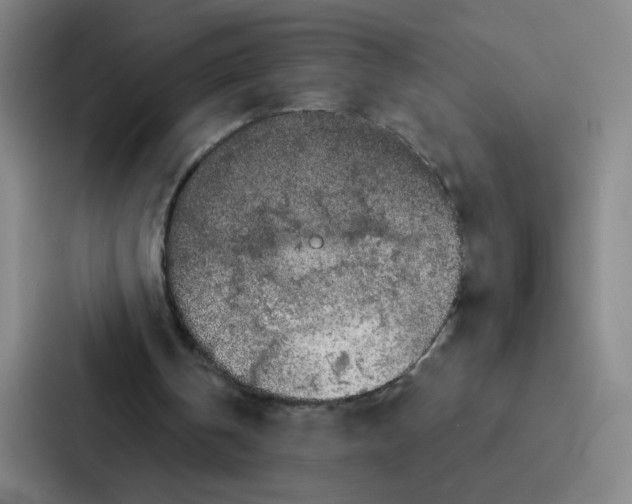 X0000086950146200705141829