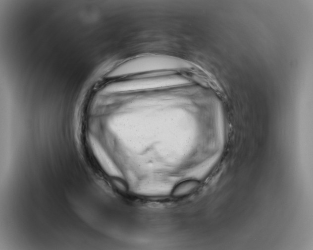 X0000086950149200705141829