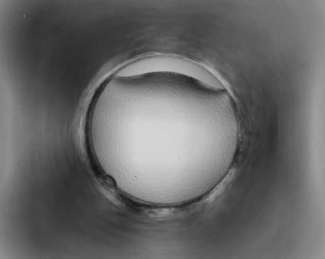 X0000086950151200705141829