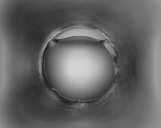 X0000086950152200705141829