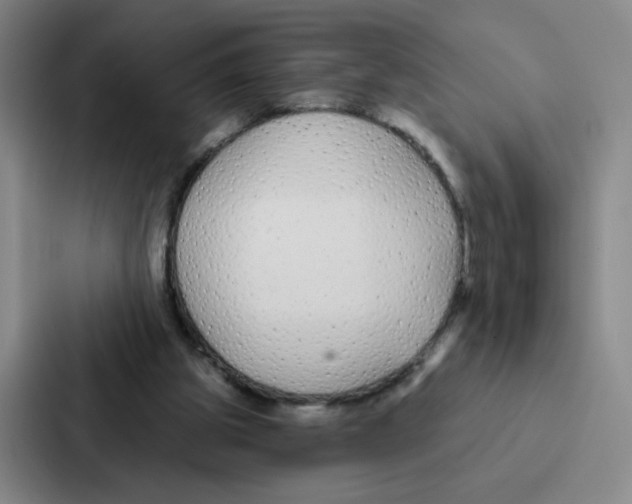 X0000086950153200705141829