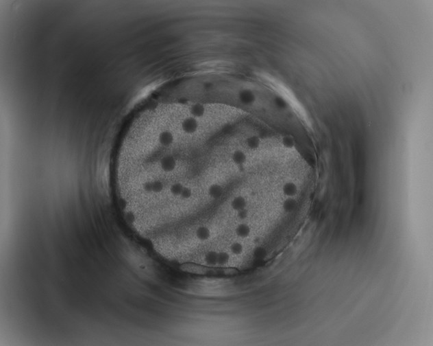 X0000086950154200705141829