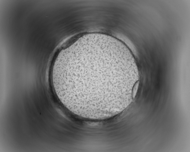 X0000086950155200705141829