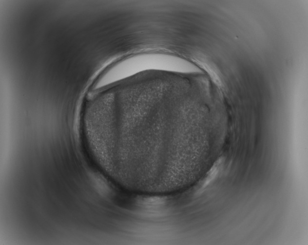 X0000086950156200705141829