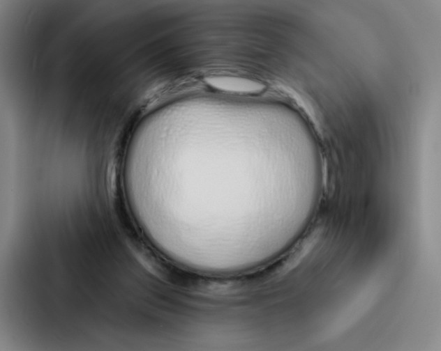 X0000086950157200705141829