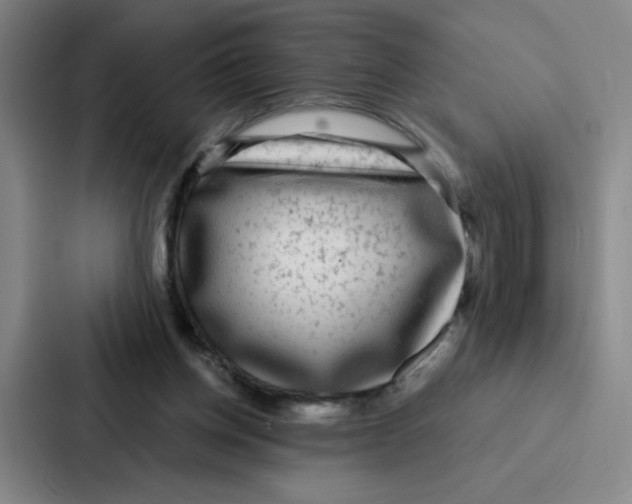 X0000086950158200705141829