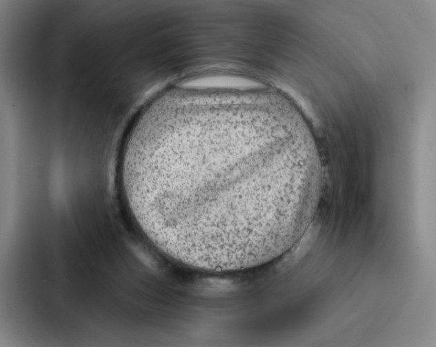 X0000086950159200705141829