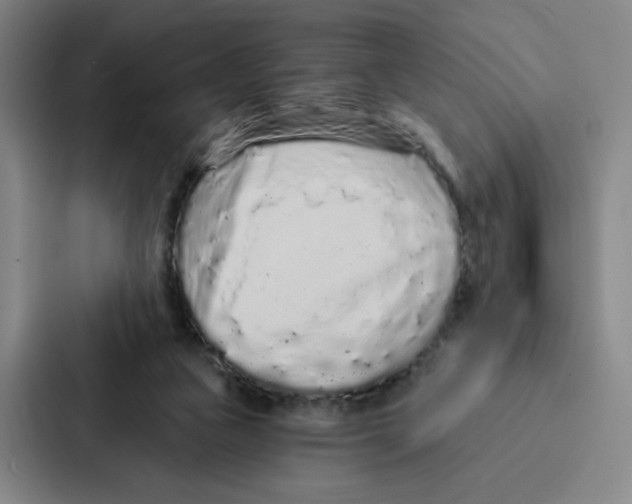 X0000086950161200705141829