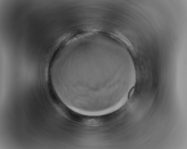 X0000086950163200705141829