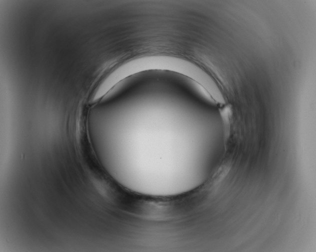 X0000086950164200705141829