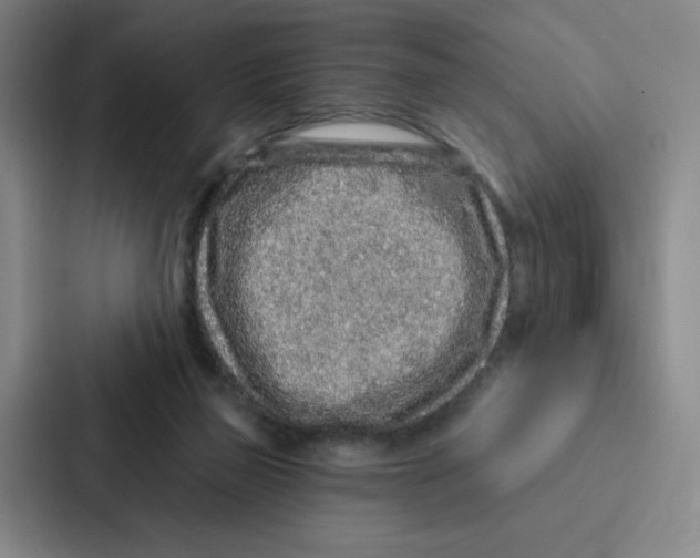 X0000086950165200705141829