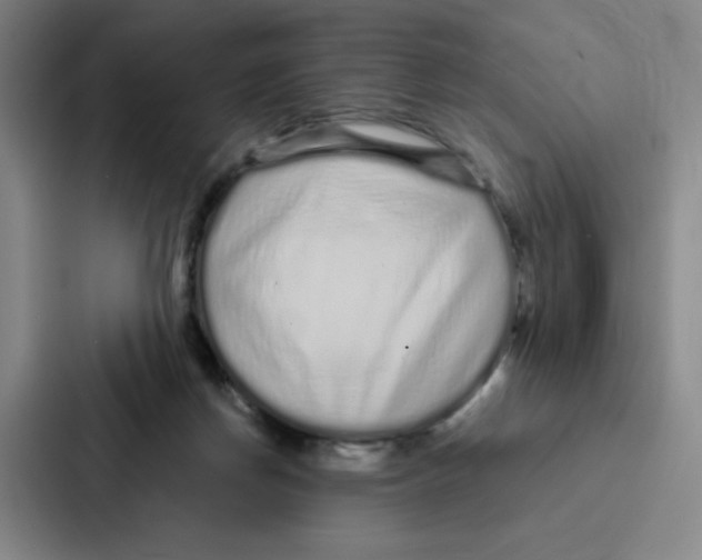 X0000086950166200705141829