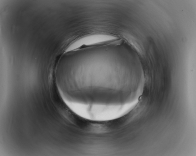 X0000086950167200705141829