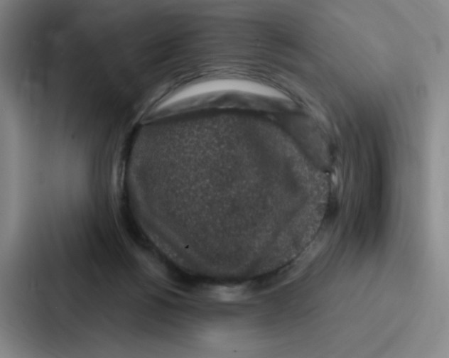 X0000086950168200705141829