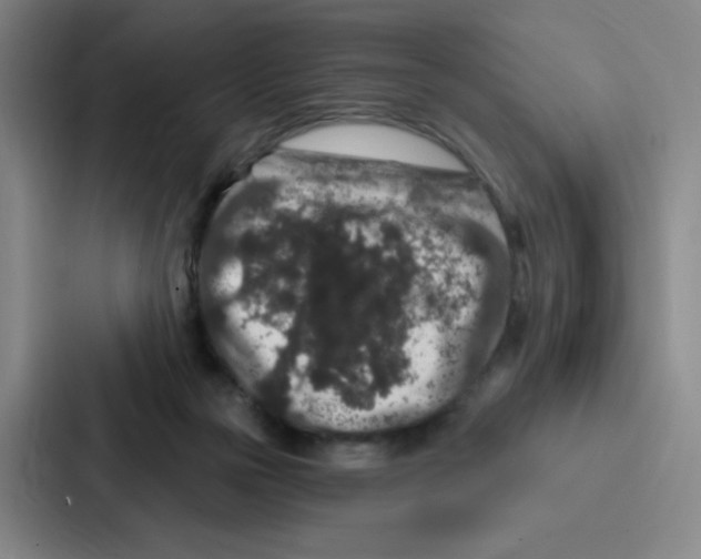 X0000086950169200705141829