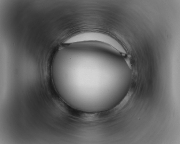 X0000086950170200705141829