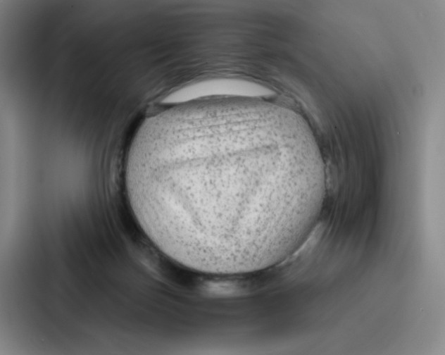 X0000086950171200705141829