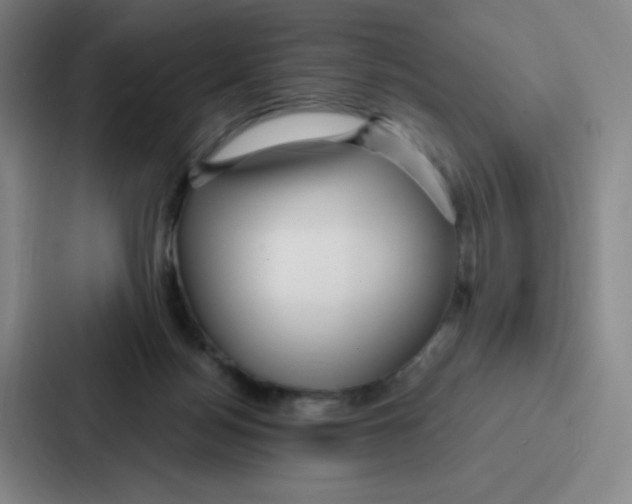 X0000086950172200705141829