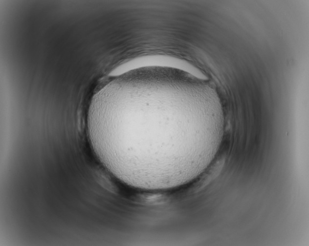 X0000086950173200705141829