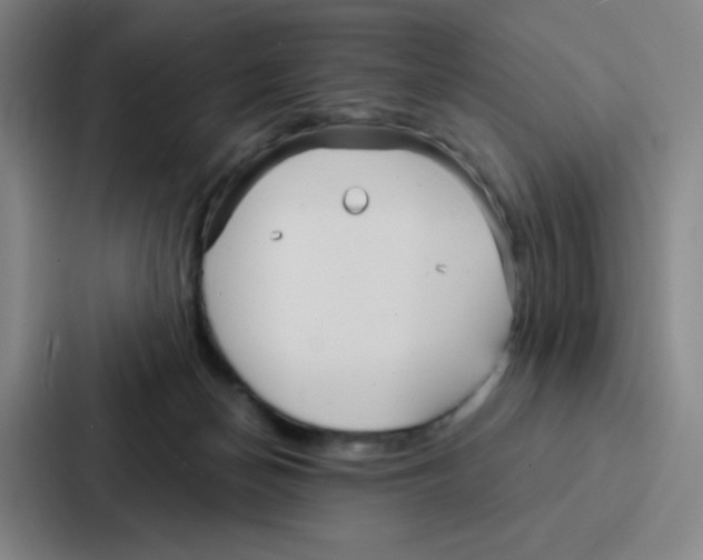 X0000086950174200705141829