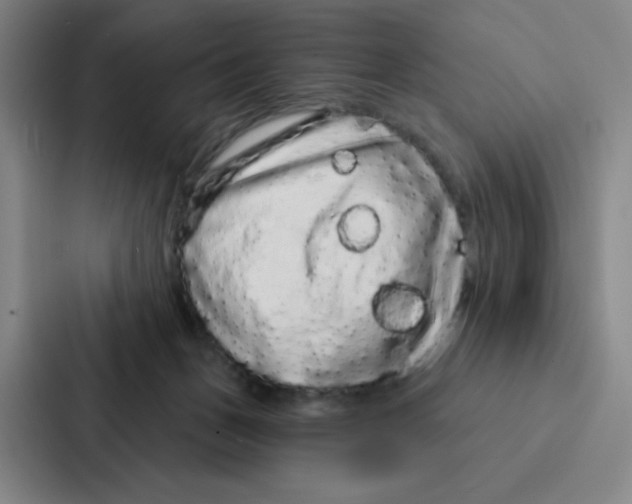 X0000086950175200705141829