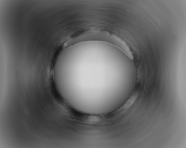 X0000086950176200705141829