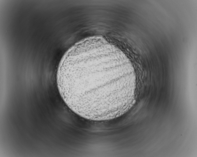 X0000086950177200705141829