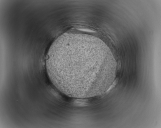 X0000086950179200705141829