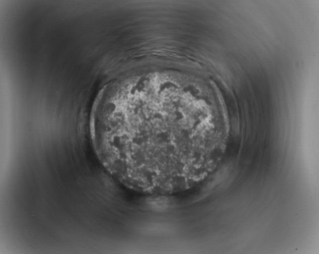 X0000086950181200705141829