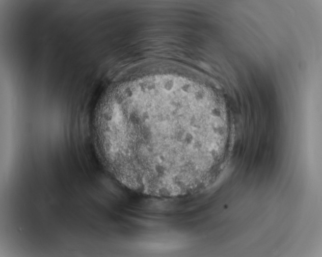 X0000086950182200705141829