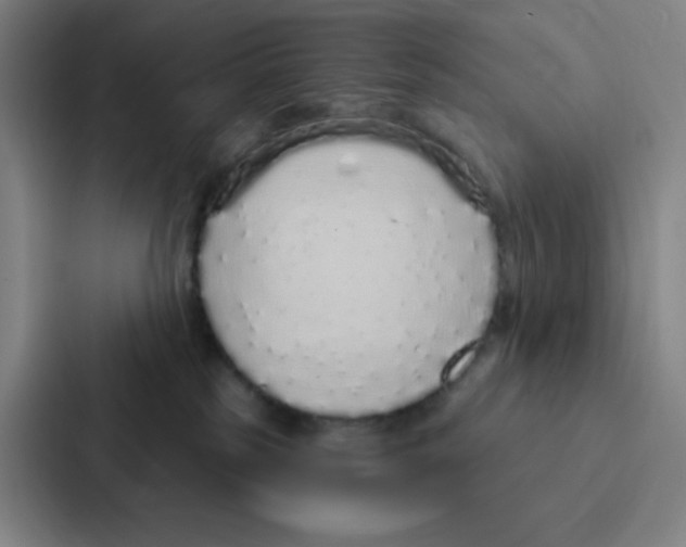 X0000086950185200705141829